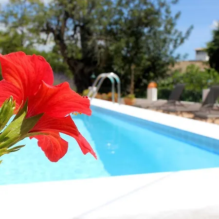 Pool Vue In La Quinta B&B